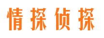 郸城资产调查